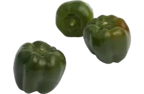 Poivron vert classe 2 caisse 10kg